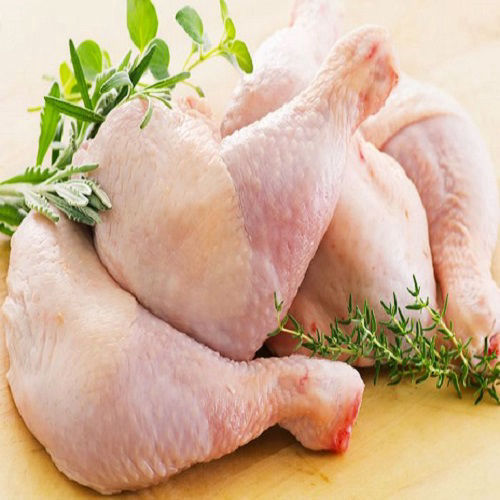 Pollo